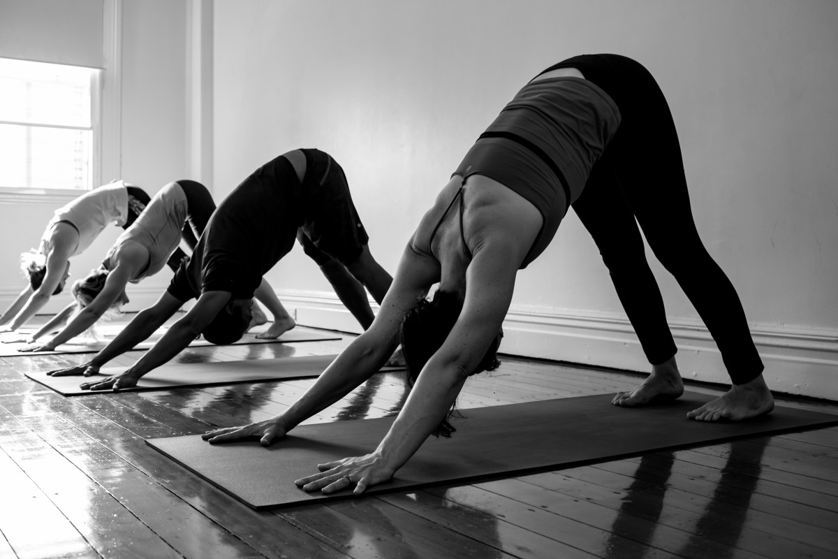 No Effort Is Lost Why Ashtanga is Not Always Linear Pyrmont Yoga